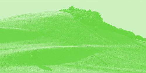 SUSTENTABILIDADE